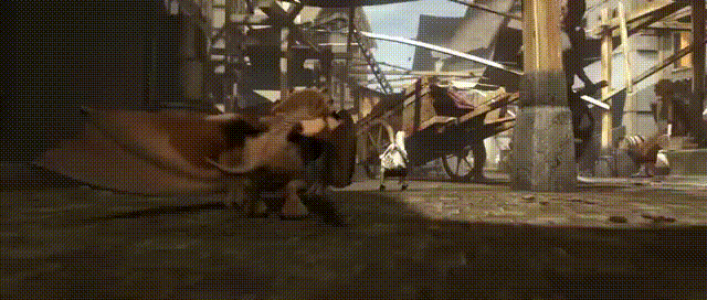 Original Video